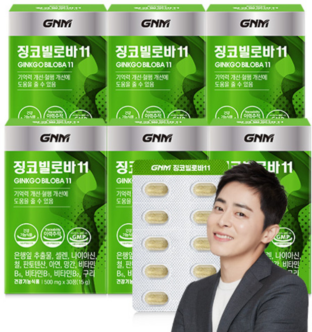 GNM자연의품격 징코 빌로바11 30정, 6개