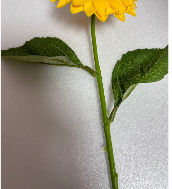 向日葵香皂花頭 畢業花束, N/A, 向日葵花桿