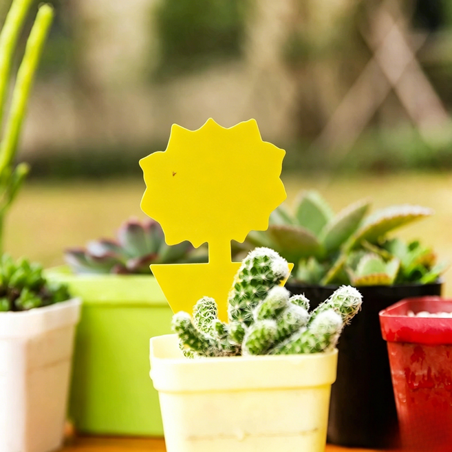 tinduo 벌레퇴치 트랩 끈끈이 판 1세트, 50, 태양형