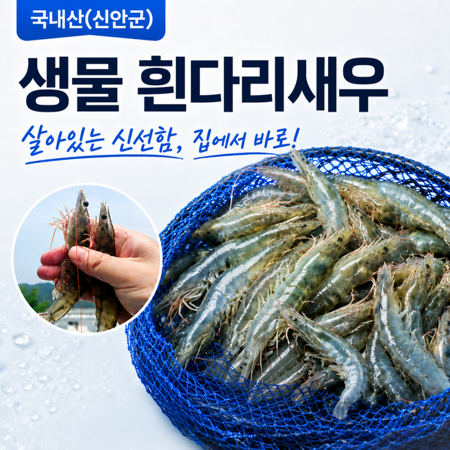[첫출하특가] 국내산 탱글탱글 생물 흰다리새우, 1박스, 500g