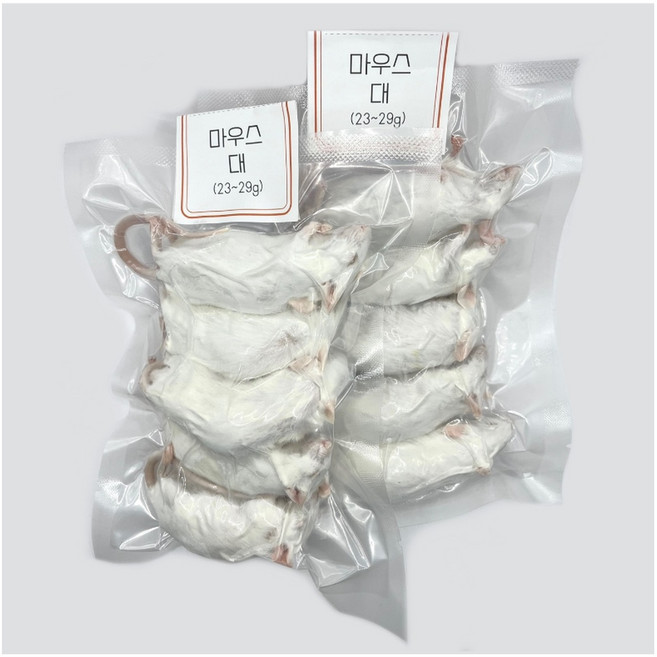 <쥐선생>냉동마우스 10마리 세트 [대] 23~29g, 10개, 25g