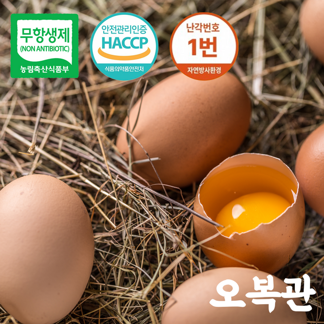 오복관 난각1번 유정란 무항생제 자연방사 당일산란(목초/아기 이유식용), 1개, 40구