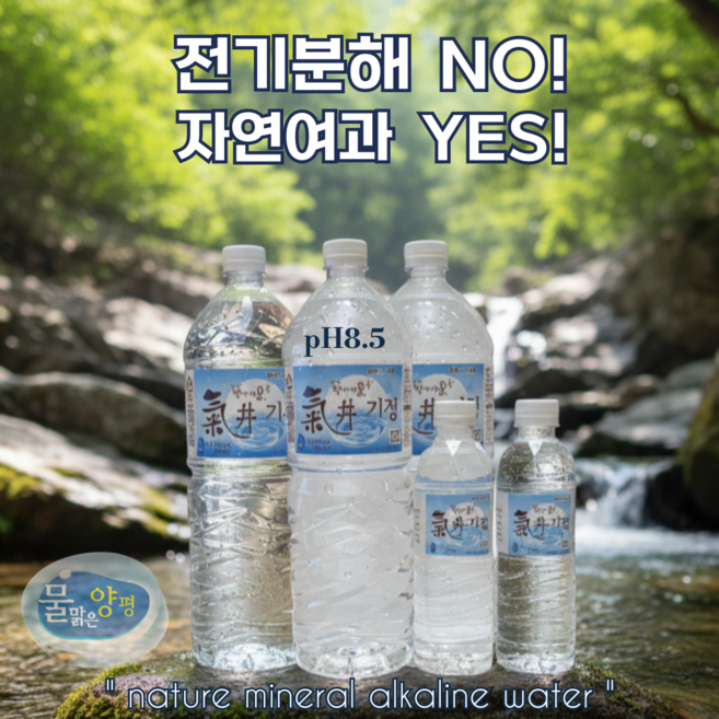 기정 양평 천연알칼리수 pH8.5 자연여과 미국FDA등록, 9개, 2L