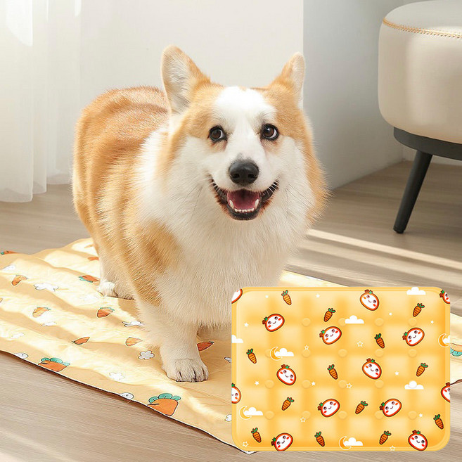 하임하이 반려동물 세척쉬운 양면 쿨매트, 당근, 1개