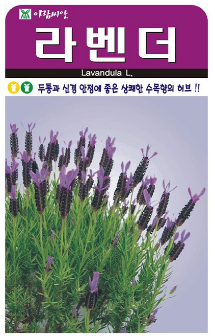 아람종묘 허브 라벤더 씨앗 100립, 1개