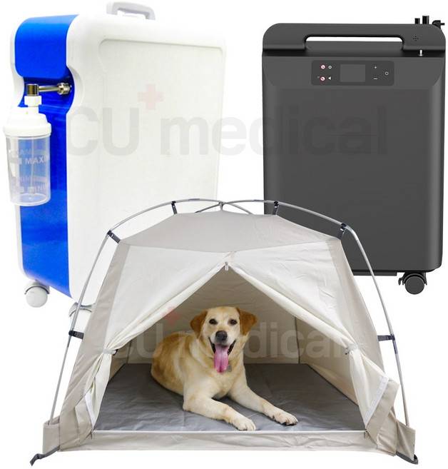 [임대] 대형견 산소발생기 렌탈 단기요금제 (1개월 단위) / 텐트 포함상품 / 중형견 강아지, 민트, 1개