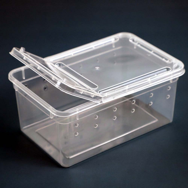 테라리움 수조 소형(13X6cm), 1개, 투명