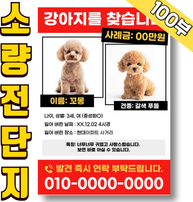 소량 전단지 인쇄 제작 전단 출력 칼라 100g스노우 A4 100부 칼라 인쇄 단면 인쇄, 120g 스노우지, 양면 x 100장