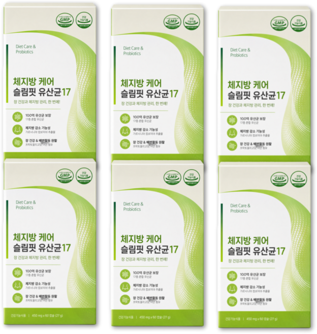 체지방 케어 슬림핏 유산균 12EA 구매 시 BNR17 비에날씬 프로틴 정품 증정 데일업, 6개, 60정
