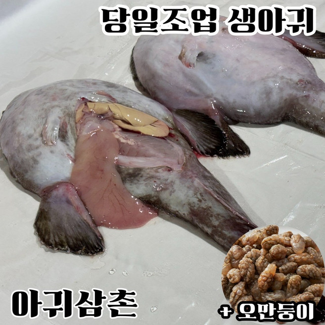 당일조업 생아귀 한마리 자연산 손질 아귀 아구 아귀간 대창 안키모 오만둥이 찜 탕 수육 매운탕 1kg, 1개