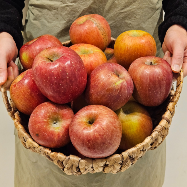 [지은농원] 못난이 실속 경북 청송 문경 안동 의성 꿀사과, 1개, 빨간사과_못난이 2KG  소과 (10-17과)