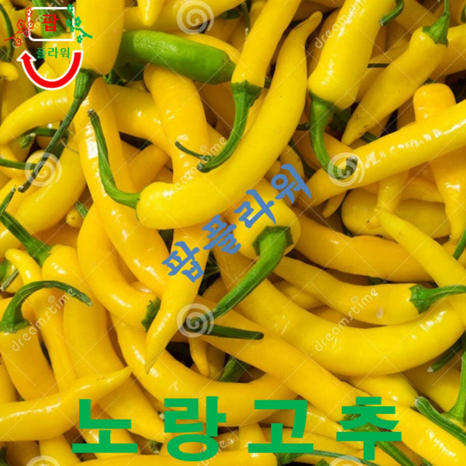 (씨앗나라) 노랑고추 씨앗 10립, 1개