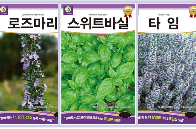 허브씨앗 3종 세트 로즈마리 바질 타임 식용허브 씨앗모음 베란다 정원 텃밭, 1개