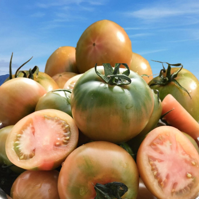 [하루100박스]산지직송 초특가 새콤달콤 당도보장 짭짤이토마토, 1박스, 2.5kg