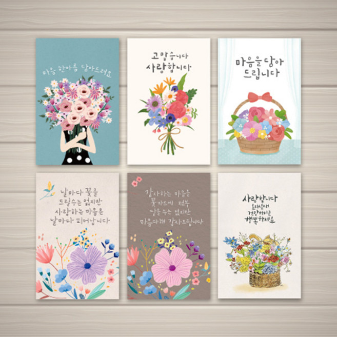 캘리그라피 감사카드 6종세트, 1박스, 카드