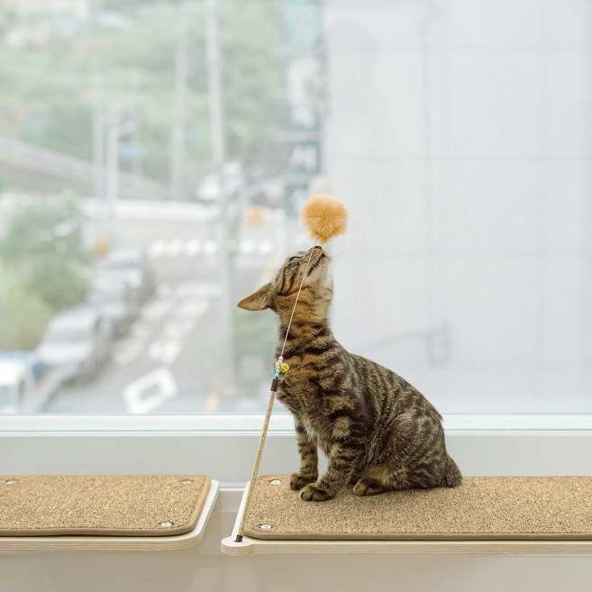 캣돌 고양이 창문 창틀 선반 해먹 캣타워, 소형(브라운), 1개