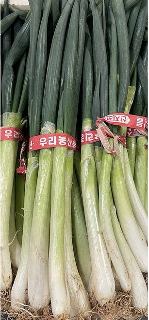 (당일경매) (당일발송) 국내산 대파 1단 (1kg 내외), 1개, 1kg