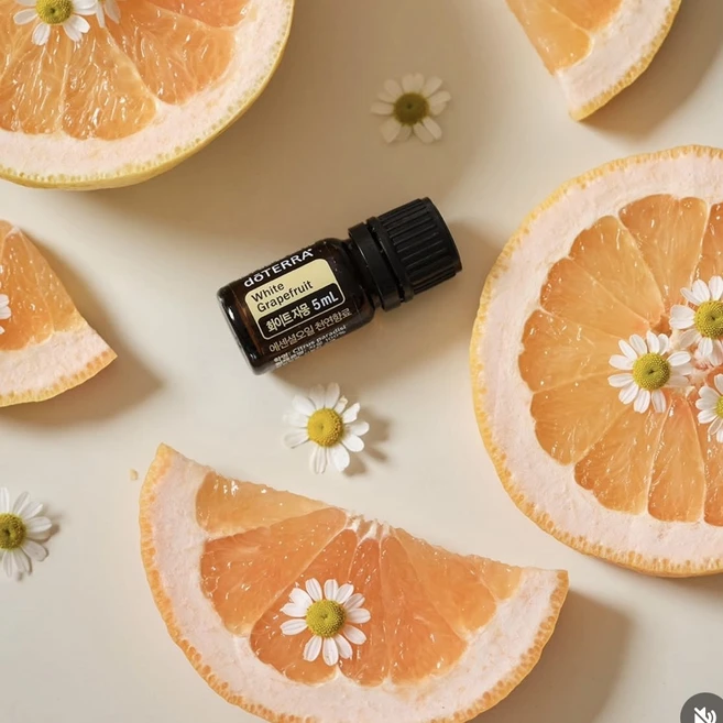 도테라 화이트자몽 세정력 요리 세정 미백 디톡스 5ml - 쿠팡