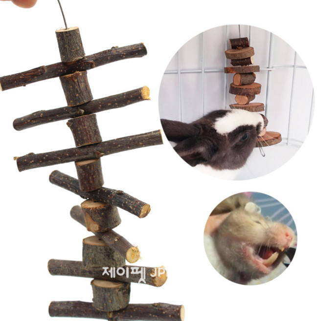 제이펫 스위트 이갈이 스트링 막대형 사과나무 매달이 장난감 햄스터이갈이 토끼이갈이 기니피그이갈이 사과나무이갈이, 1개