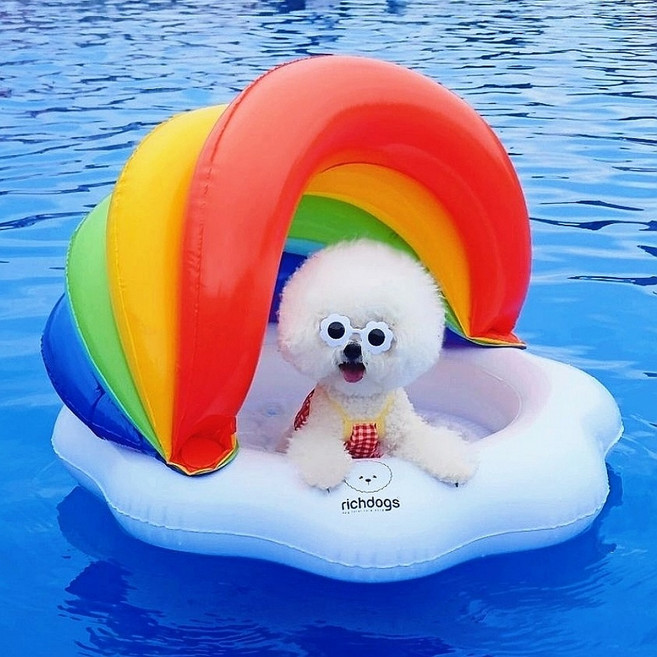리치독스 강아지 물놀이 캐노피 무지개 튜브, 혼합색상, 1개