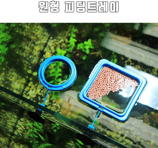 미미네 아쿠아블루 푸드펜스 FL75, 1개