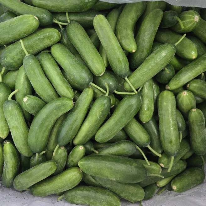 대감댁 국산 스낵오이 미니오이, 1세트, 1kg