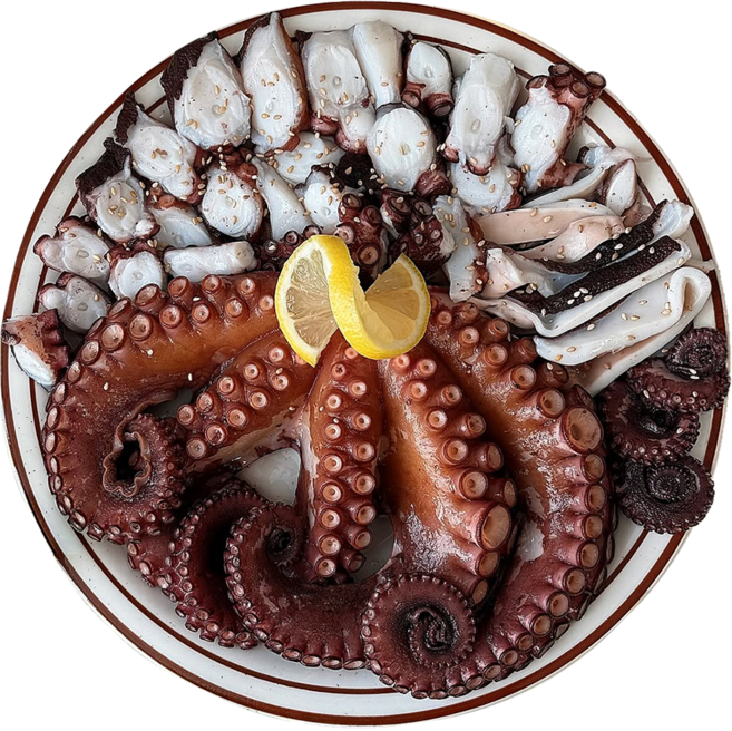 돌쇠네 최상급 대사이즈 자연산 통영 활 돌문어, 1개, 1kg (1~4미 내외)