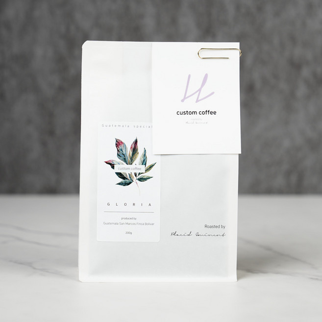 과테말라 키체 스페셜티 커피 로스팅 원두 글로리아, 1개, 500g, 핸드드립