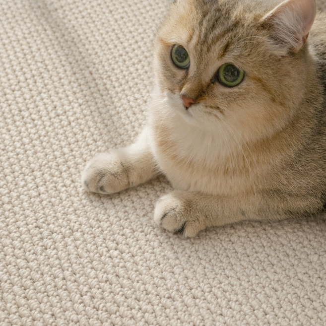 고양이 쿨매트 사이잘 스크래쳐 겸용 여름매트, 아이보리, 1개