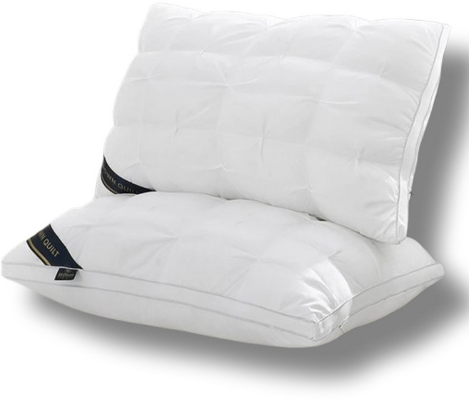 라리홈 5성급 고급 꿀잠 호텔베게 50X70 베게솜 2P White, 2개, 화이트