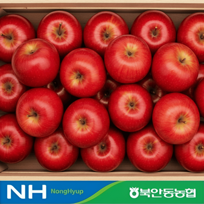 [당도보장] 꿀먹은 부사 사과 청송 안동 경북 꿀사과, 1박스, 가정용2kg중소과(9~11과)