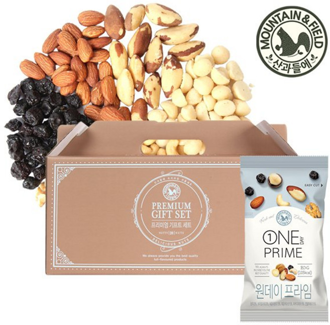 산과들에 하루견과 원데이프라임 20입 선물세트 20gx20봉, 1, 20g