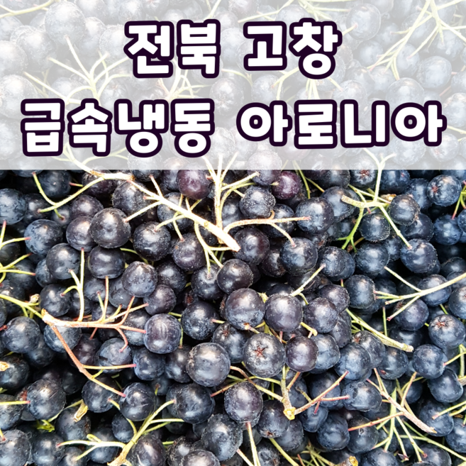 국내산 햇 아로니아 블랙초크베리 특품 최상품 제철 산지직송, 1개, 10kg(특품)