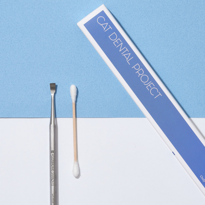 캣디피 CATDP 홈케일러 고양이 치석제거기, 1개, 사각