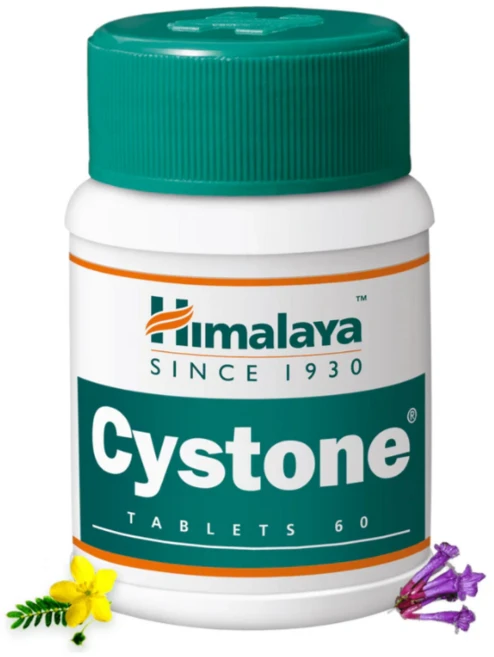 히말라야 사이스톤, 1개, 60정 - 쿠팡