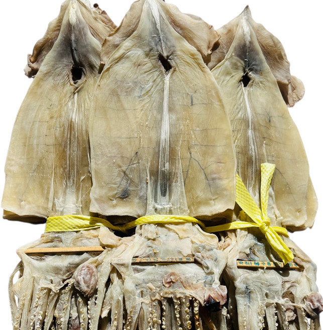 [어물정]동해안 당일바리 건조오징어마른오징어 특 20미 1.5kg국산, 1개