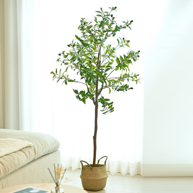 아르띠콜로 조화 올리브 나무+해초 바구니 세트, 150cm, 1개, 150cm