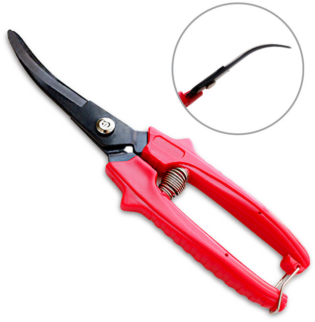 신성 호박수박가위 둥근과일용 곡가위 적과 채과 꼭지가위 X8, 1개