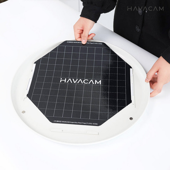 해바캄 아스페리타스 해충퇴치기 끈끈이 10매글루페이퍼 끈끈이리필 해바캄끈끈이 종이패드, 단품