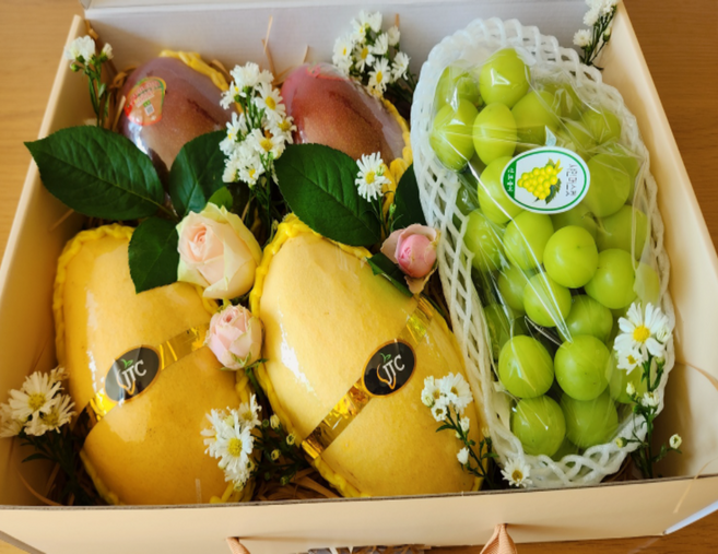 프리미엄 샤인머스켓 & 애플망고 & 골드망고 (대과) 4.5kg 실속1 과일선물세트 이바지, 1개