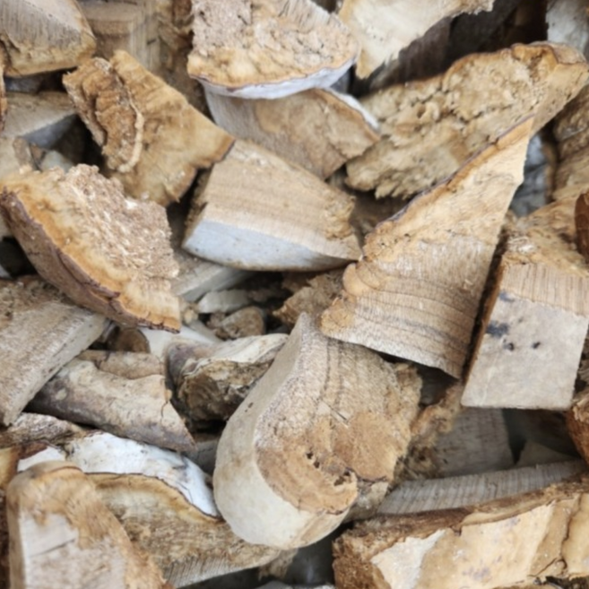 [BEST] 자연산 말굽 말발굽 버섯 절편 항암 당뇨 고지혈증 개선, 1개, 500g