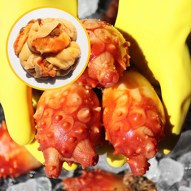 통영직송 직접 손질해 보내 드리는 제철 통영 멍게, 깐멍게 1kg, 1개