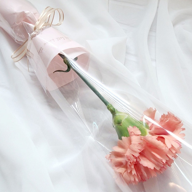 블룸픽 카네이션생화 한송이 어버이날꽃선물 스승의날생화꽃선물 꽃배송 꽃택배, 1개, 진한계열랜덤