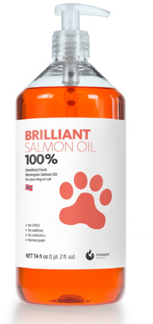 브릴리언트 연어오일 1000ml 신선한연어 노르웨이 수입완제품, 피부/피모, 1L, 1개