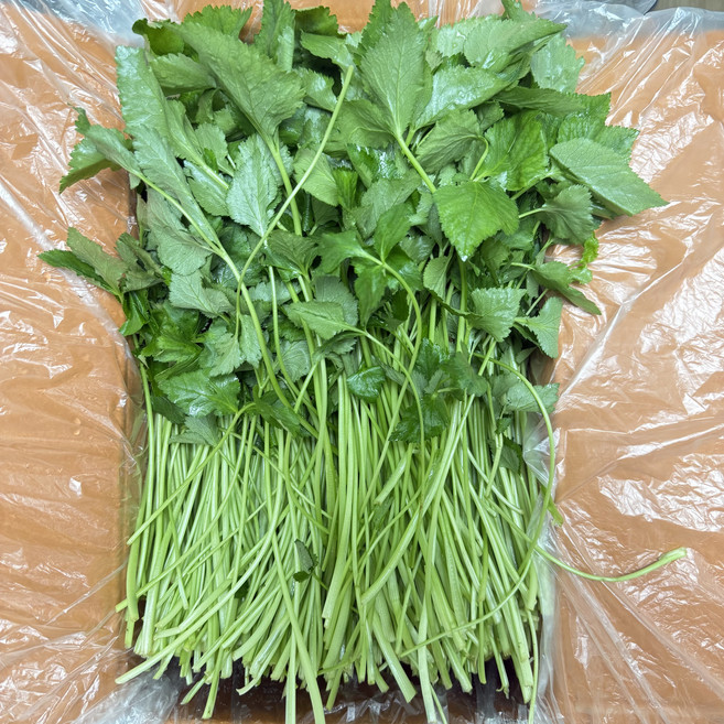 농진사 참나물 국내산 특품, 1개, 4kg