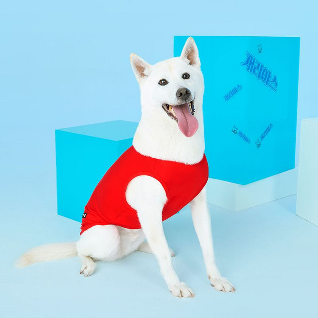 BYC 개리야스 보디드라이 쿨런닝 ODB000502