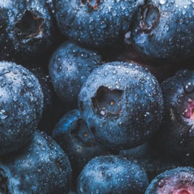 프리미엄 고당도 과일 수입 생 과일 블루베리 생과 특, 1박스, 생 블루베리 (125g x 4ea) (16-18mm)