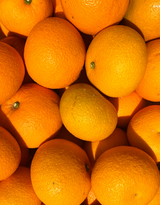 [산지직송] 제주 토종 자몽 팔삭 팔삭귤, 1박스, 팔삭 3kg (사이즈 혼합)