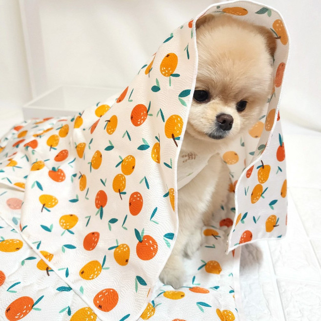 해피앤퍼피 시원한 강아지이불 20가지 디자인 강아지 고양이 여름 인견블랭킷 오가닉블랭킷 낮잠이불 담요, 오렌지(인견)