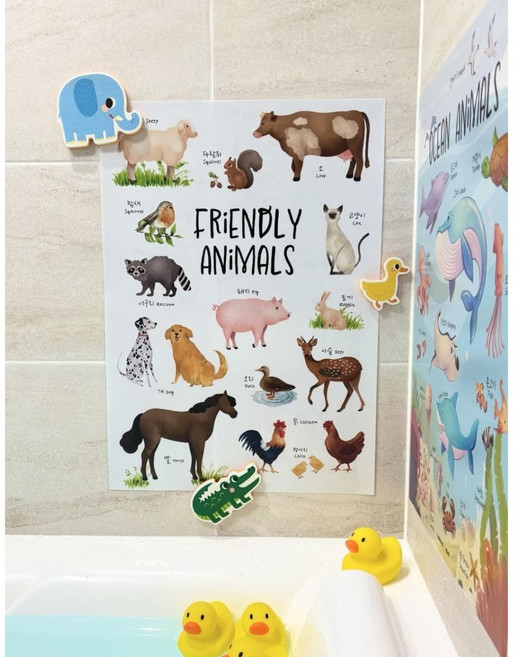 동물친구들 방수포스터 유아 학습 학습표 아기벽보 방수 병풍 엄마랑벽그림 A3, A3(소형), 05.식물과 곤충